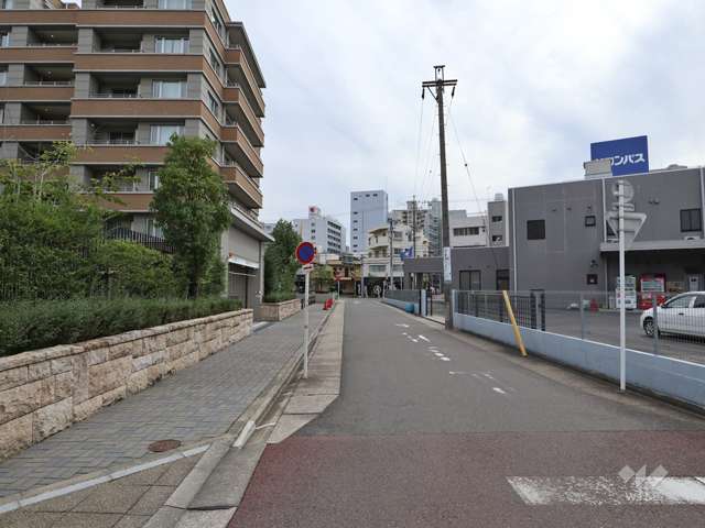 敷地の西側前面道路（北側から）
