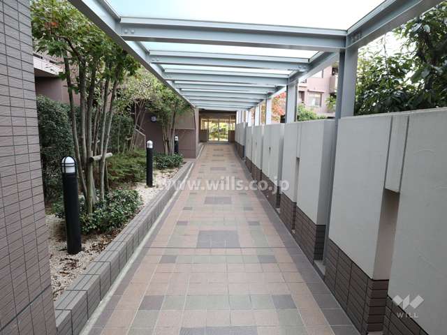 敷地南東側の前面道路（北東側から）