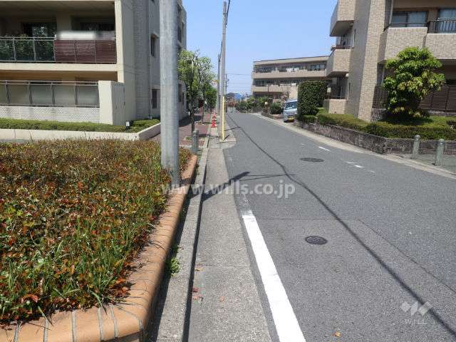 敷地東側の前面道路