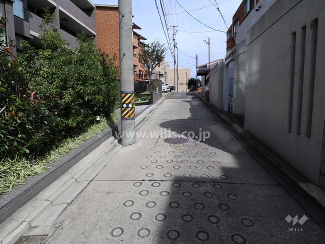 敷地南側の前面道路(西側から)