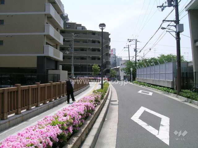 敷地北東側に面する親水水路の遊歩道