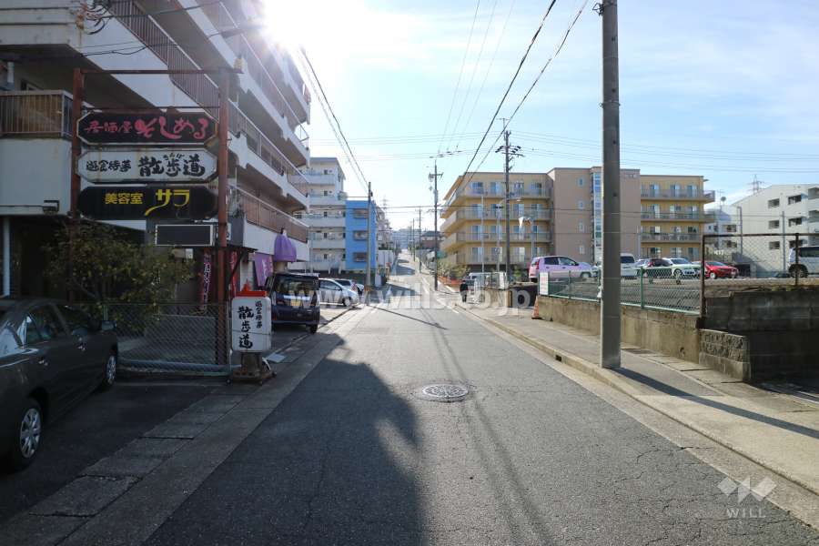 敷地西側の前面道路（北側から）