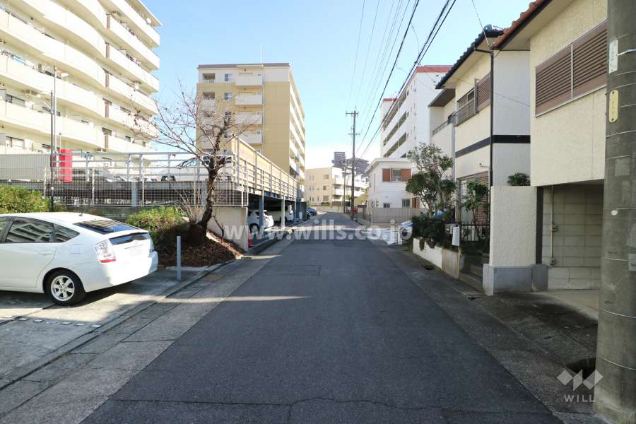 敷地南側の前面道路（西側から）