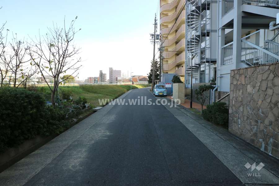 敷地北側の前面道路（西側から）