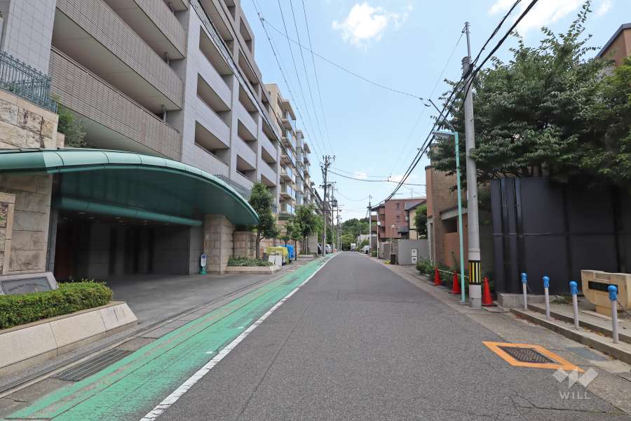 敷地の南東側前面道路（南西側から）