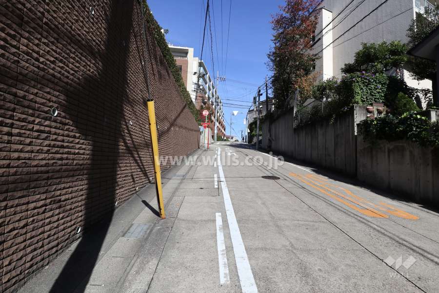敷地の東側前面道路（南側から）