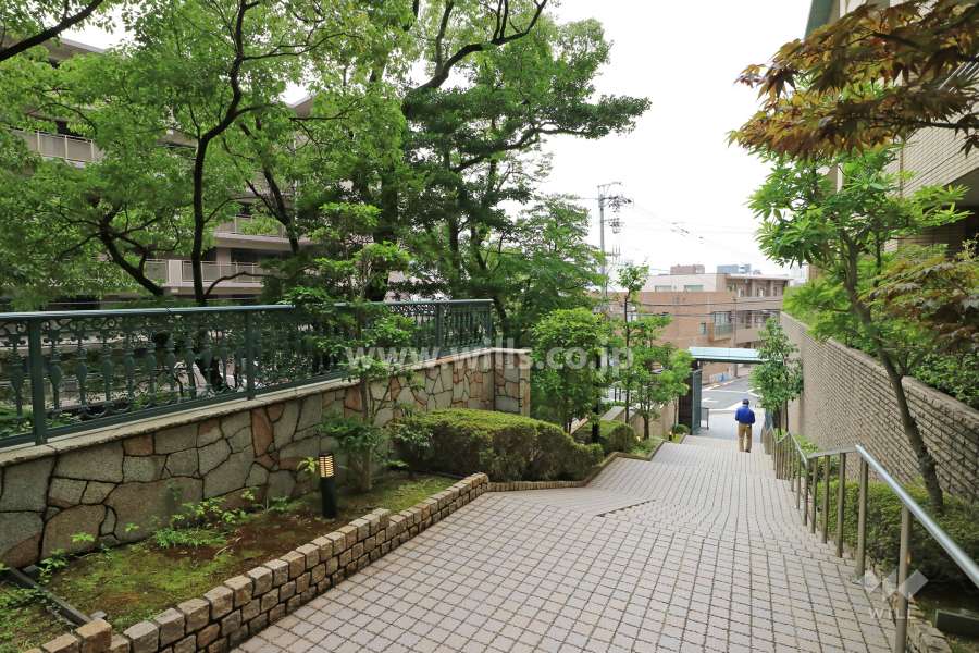 エントランスアプローチ