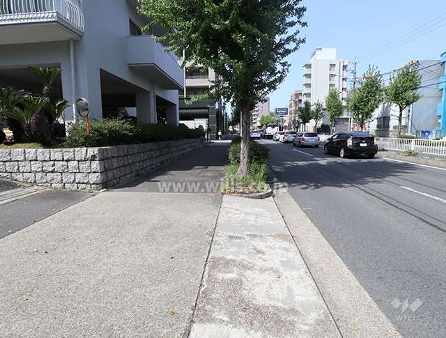 敷地東側の前面道路。片側二車線です。