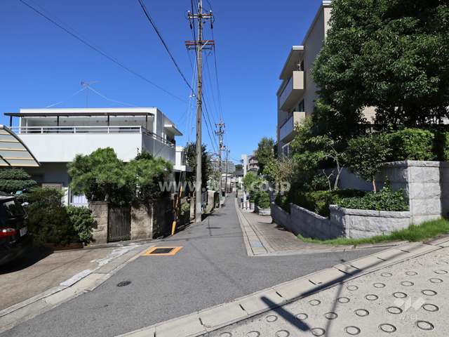 敷地の西側前面道路（南側から）