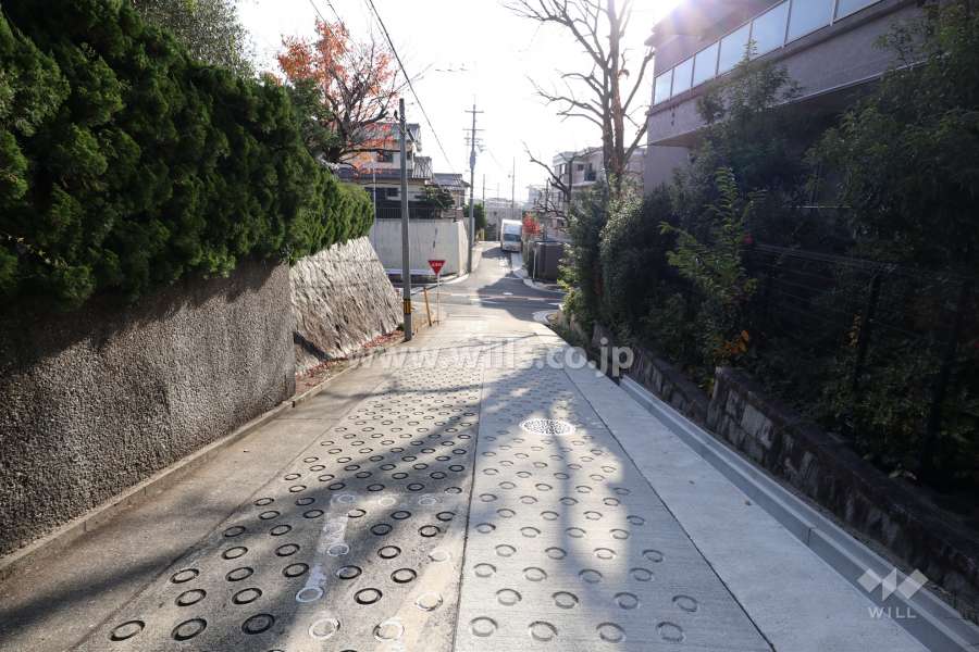 敷地東側の前面道路（北側から）