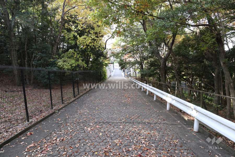 敷地北側の前面道路（西側から）