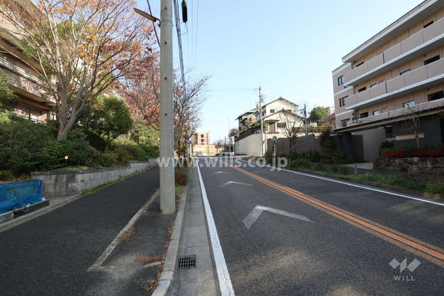 敷地南側の前面道路（西側から）