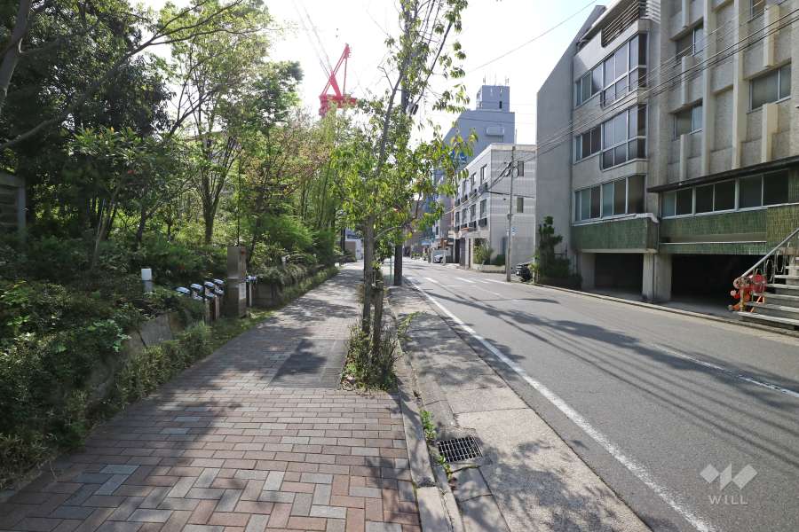 敷地北側の前面道路