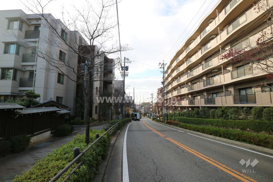 敷地北側の前面道路（東側から）