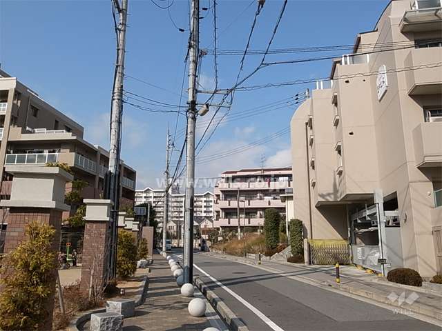 敷地西側の前面道路。周辺はマンションと一戸建てが混在する静かな住宅地です。