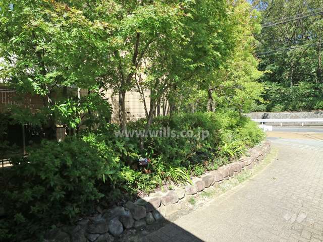 敷地内の各所に植栽スペースが設けられています。