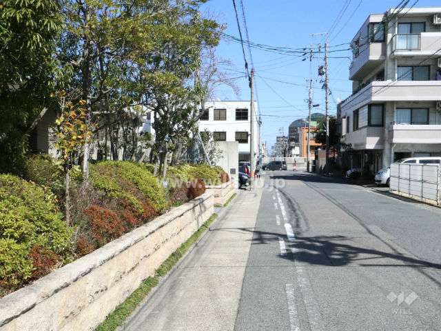 敷地東側前面道路