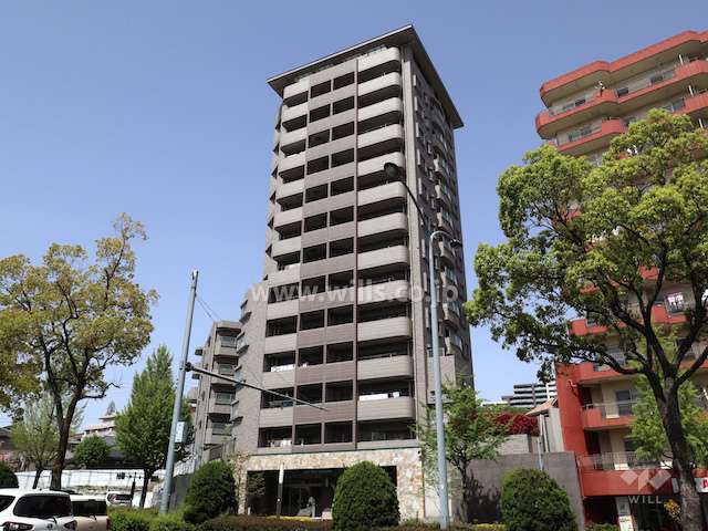 ライオンズヒルズ星ヶ丘の外観（東側から）