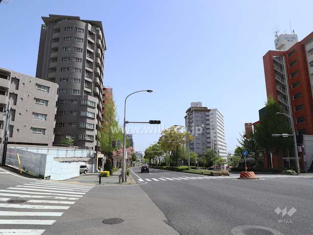 敷地南側の前面道路。バス通りです。