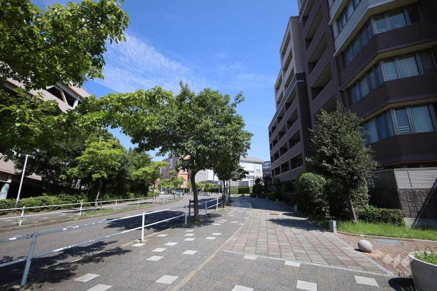 敷地西側の前面道路