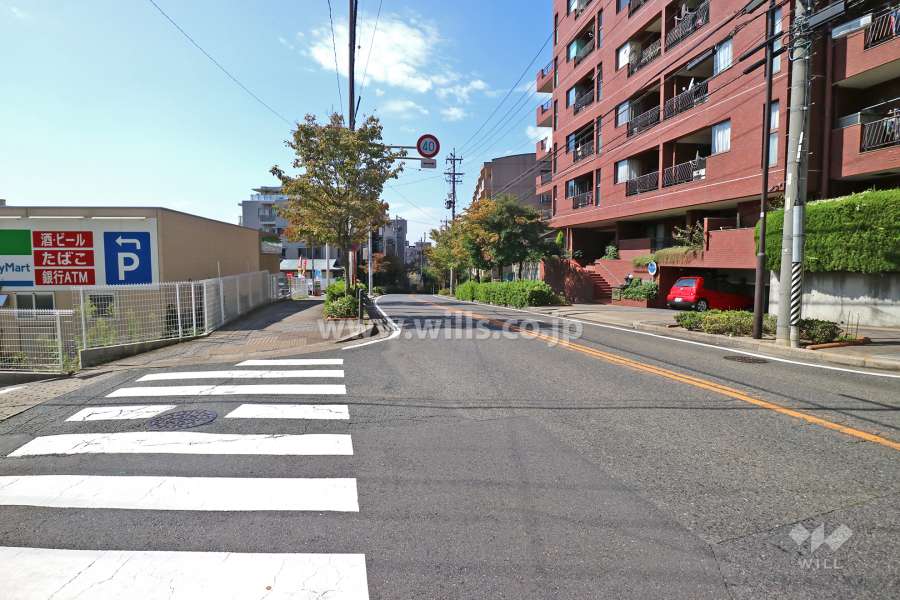 敷地南側の前面道路