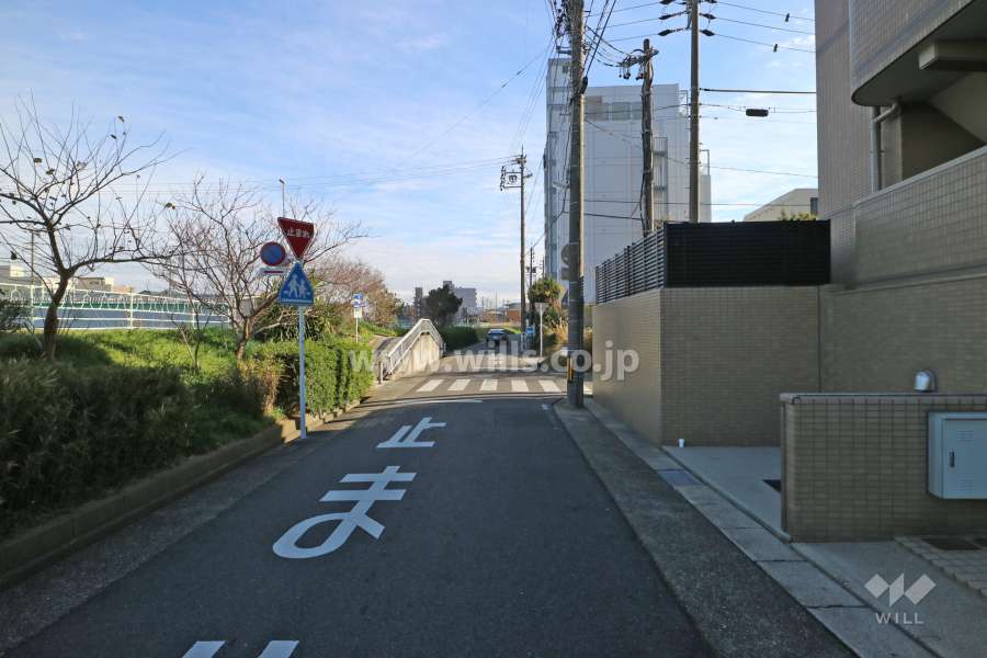 敷地北側の前面道路（西側から）