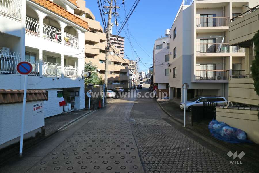 敷地の南東側前面道路（南西側から）