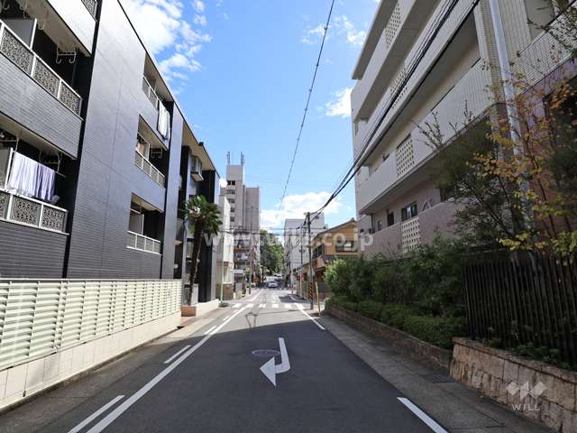 敷地西側の前面道路(北側から)