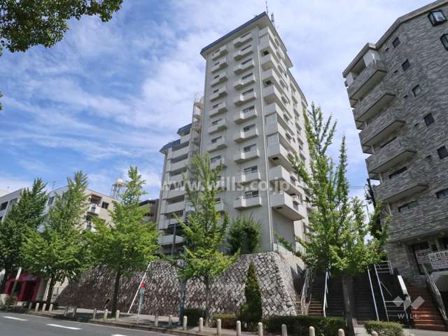ライオンズマンション星ヶ丘の外観(北西側から)
