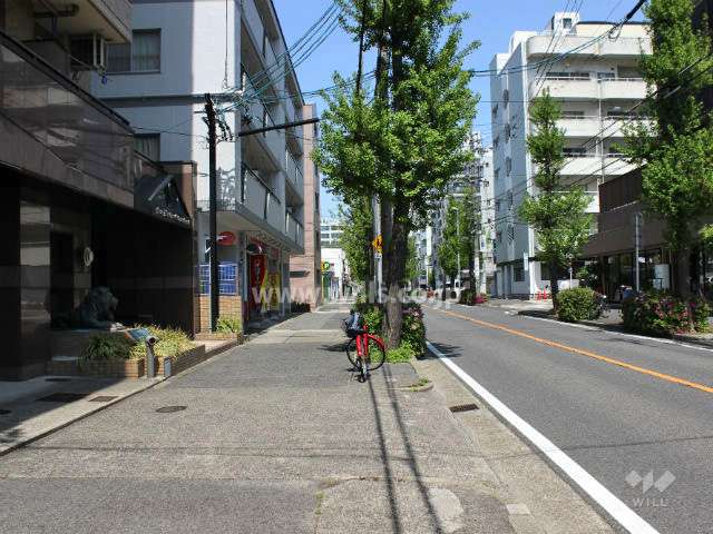敷地東側の前面道路。通行量の多い道です。