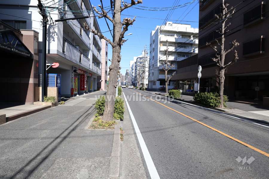 敷地西側の前面道路（南側から）