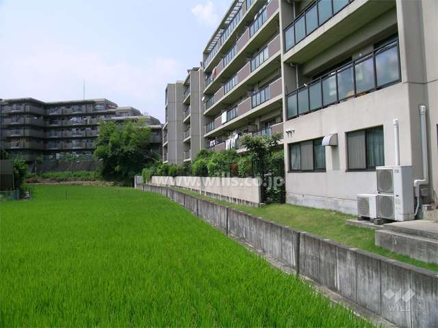 敷地南西側は現況田んぼです。（平成24年現在）