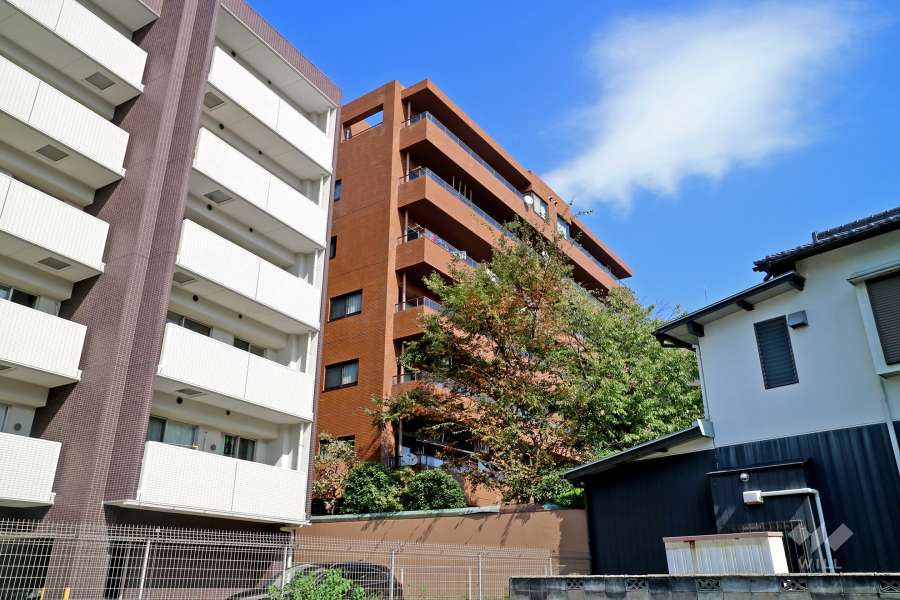 三旺マンション猫洞の外観（南西側から）