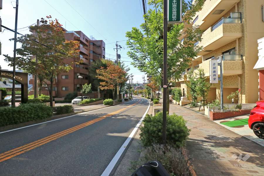 敷地北側の前面道路