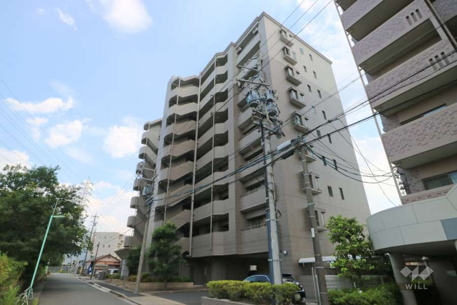 プリオール竹越の外観（北西側から）