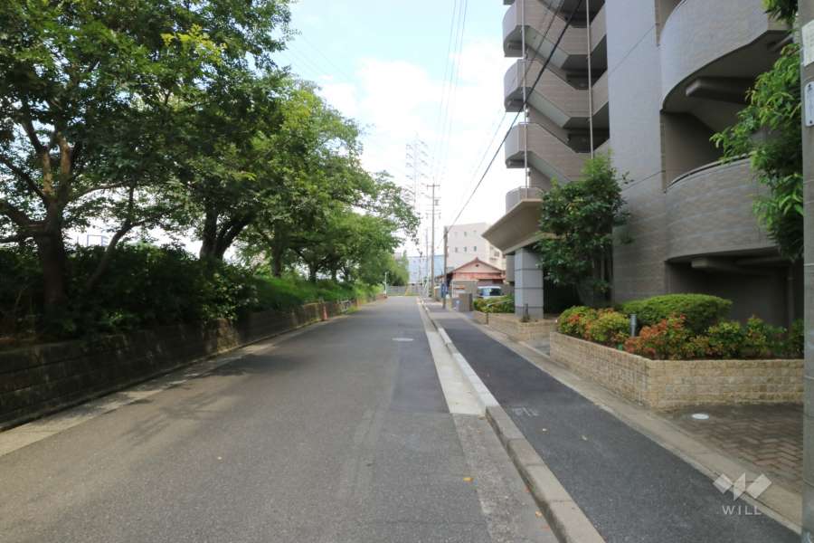 敷地北側前面道路（西側から）