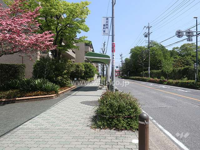 敷地南側の前面道路