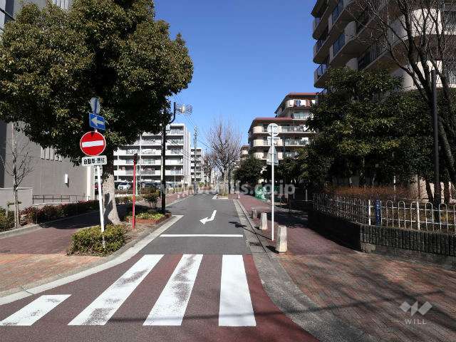 敷地西側前面道路