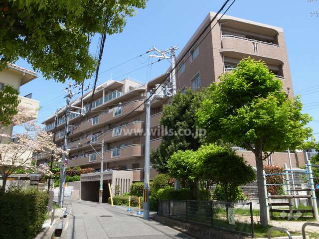 西側の前面道路（南側から）
