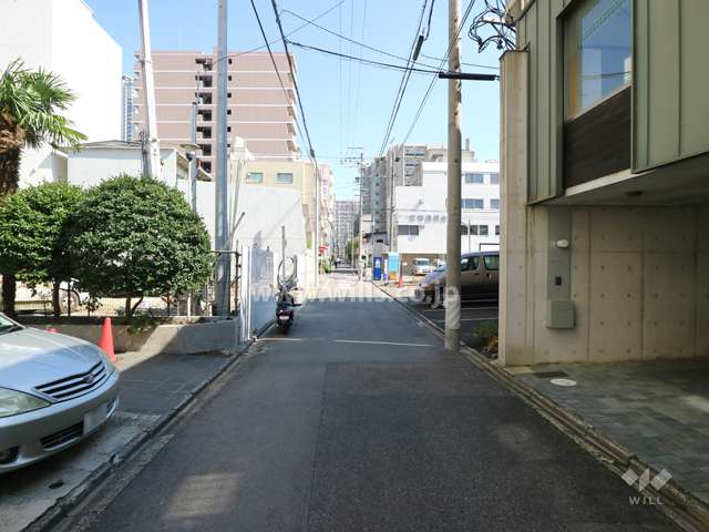 敷地南側の前面道路（西側から）