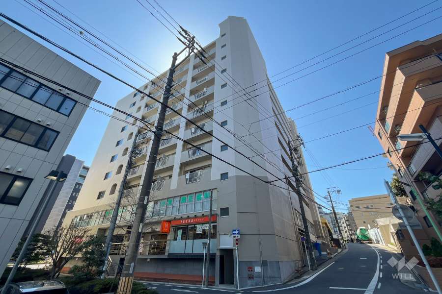 覚王ハイツの外観(北東側から)