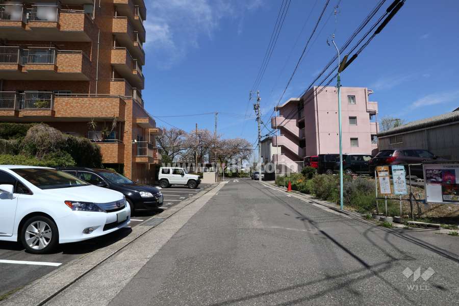 敷地の東側前面道路（南側から）