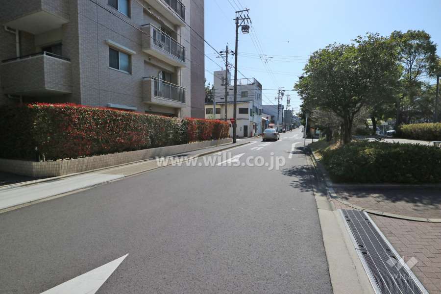 敷地東側前面道路