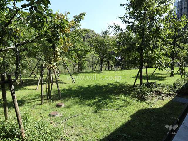 グランドメゾン星ヶ丘山手スカイタワーA棟の遠景