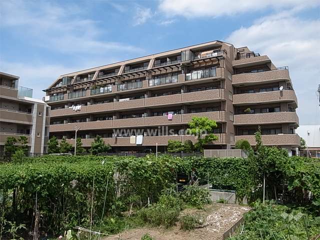 敷地の南側には畑と駐車場があります。