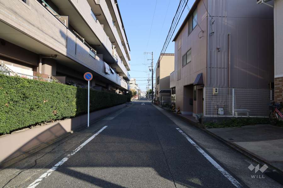 敷地南側の前面道路(西側から)
