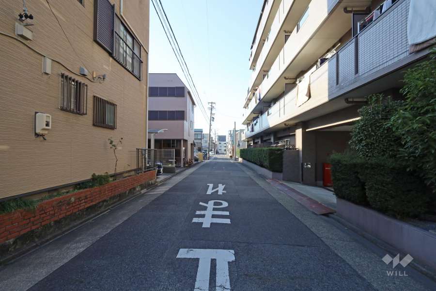 敷地南側の前面道路(東側から)