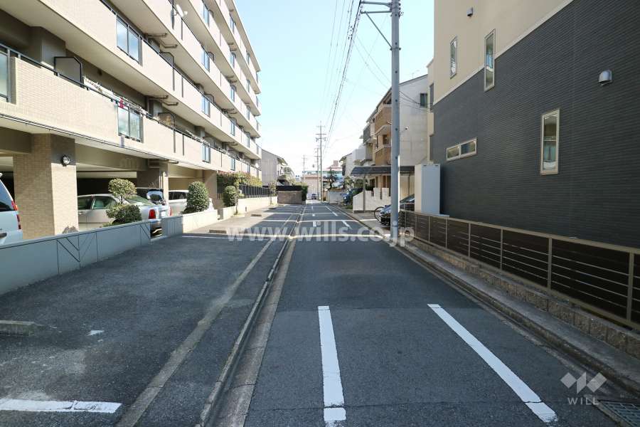 敷地南側の前面道路