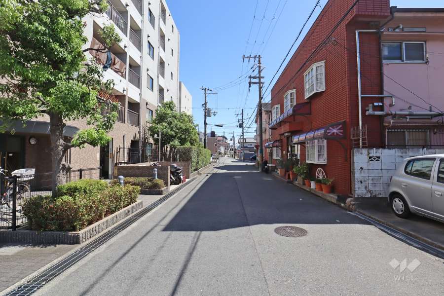 敷地西側の前面道路（北側から）