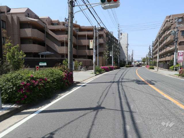 敷地北側の前面道路
